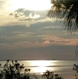 Meet your Posher, Colleen